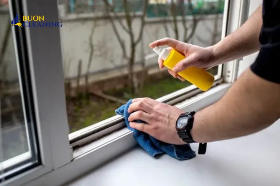 Window Cleaning Cost