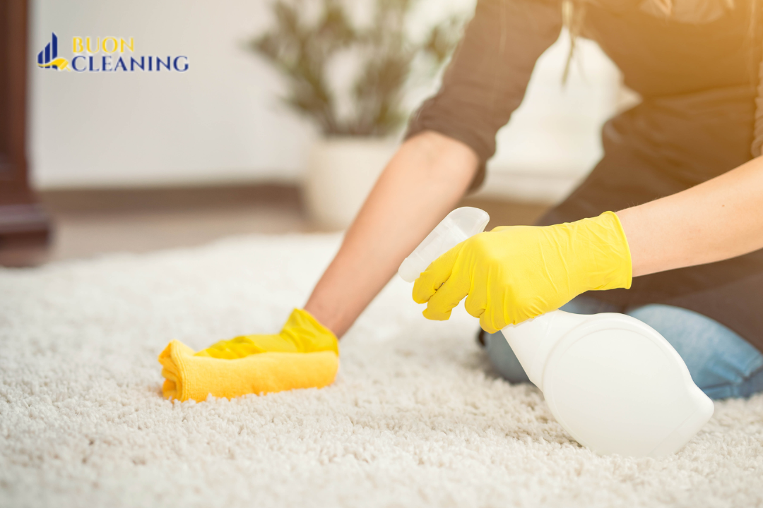 Clean a Wool Rug