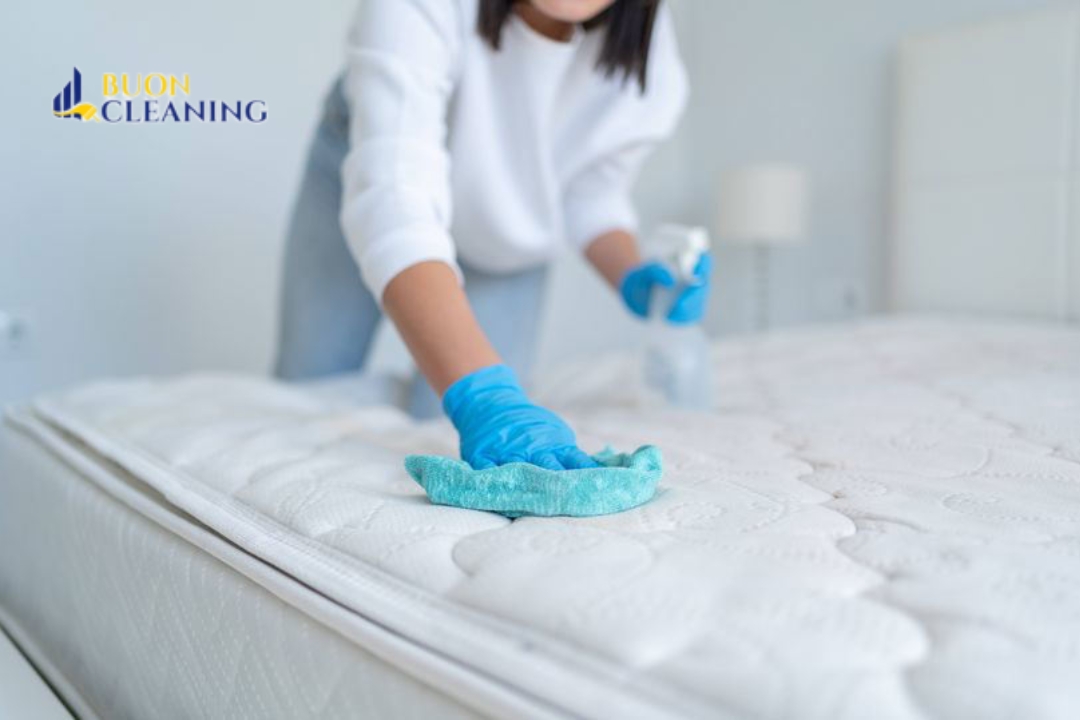 Importance of Regular Mattress Cleaning