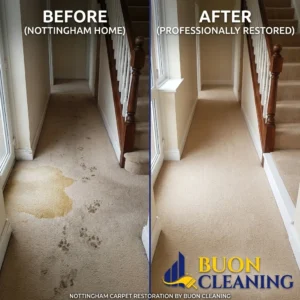 Hallway carpet in Carlton Nottingham restored from grey back to its original shade by Buon Cleaning