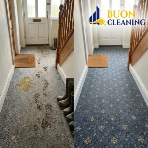 Entrance hall carpet in Bulwell Nottingham cleaned of grit and outdoor soil by Buon Cleaning